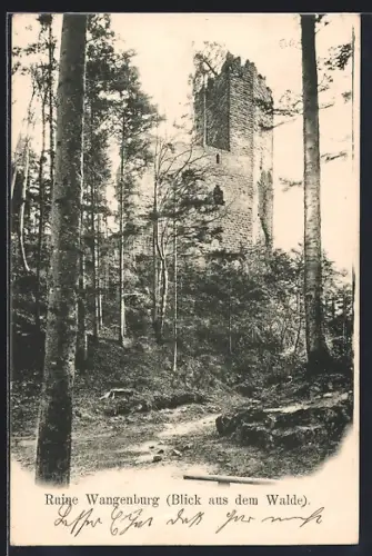 AK Wangenbourg, Vue de la ruine depuis la forêt
