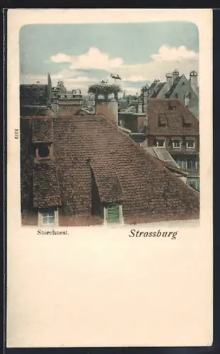 AK Strasbourg, Nid de cigogne sur les toits de la ville