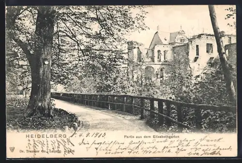 AK Heidelberg / Neckar, Elisabethgarten, Promenade mit Häuserpanorama