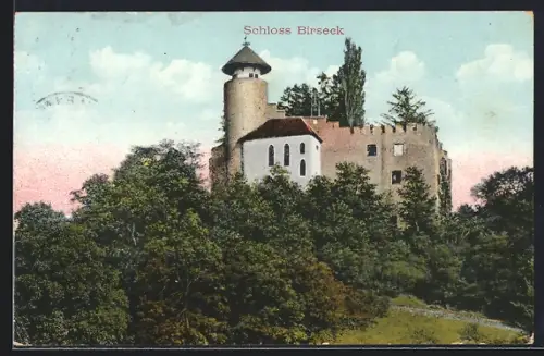 AK Arlesheim, Schloss Birseck, Ansicht mit Umgebung