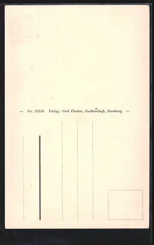 AK Dornburg / Saale, grossherzogliches Schloss