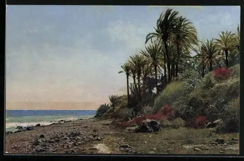 AK Photochromie NR 2638: Riviera di Pomente, Bordighera, Palmen