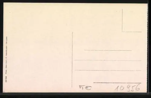 AK Santo Stefano di Cadore, Gesamtansicht mit Gebirge