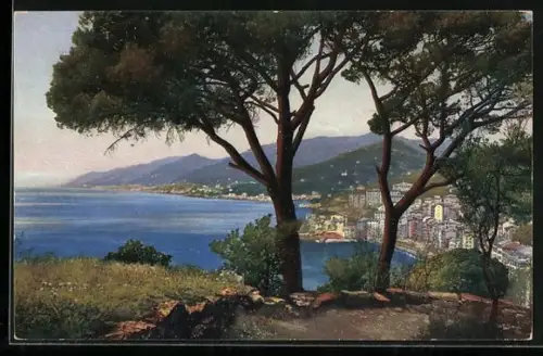 Künstler-AK Photochromie Nr. 2583: Riviera di Levante, Camogli, Teilansicht
