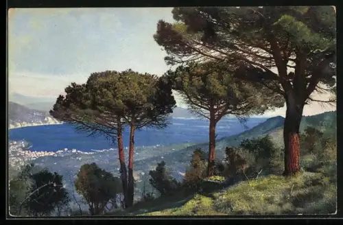 Künstler-AK Photochromie Nr. 2600: Santa Margherita, Ortsansicht