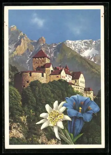 AK Vaduz, Schloss mit Umgebung, Edelweiss, Enzian