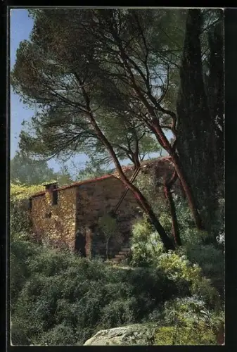 AK Photochromie NR 2642: Riviera di Ponente, Mortola