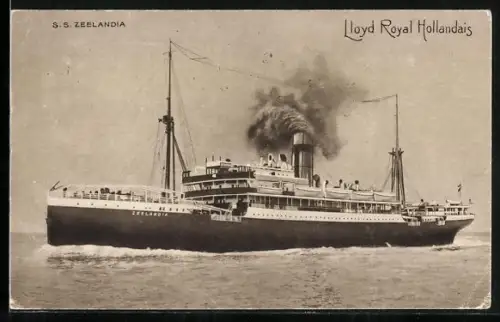 AK Passagierschiff SS Zeelandia, Lloyd Royal Hollandais