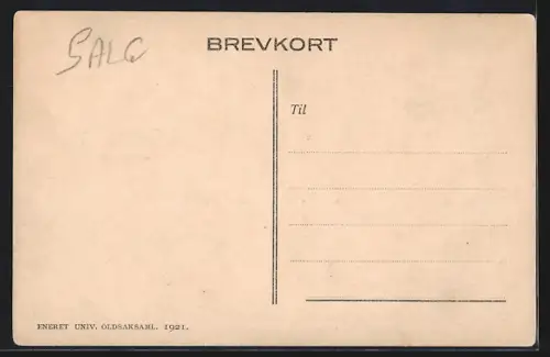 AK Osebergfundet, Vognen