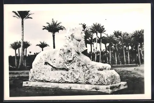 AK Memphis, The Alabaster Sphinx