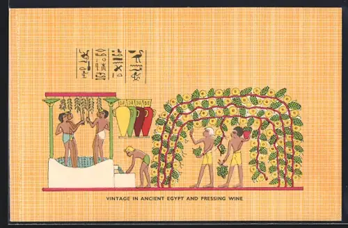 AK Vintage in Ancient Egypt and pressing Wine