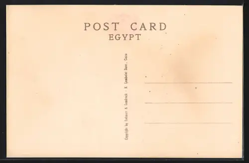 AK Vintage in Ancient Egypt and pressing Wine