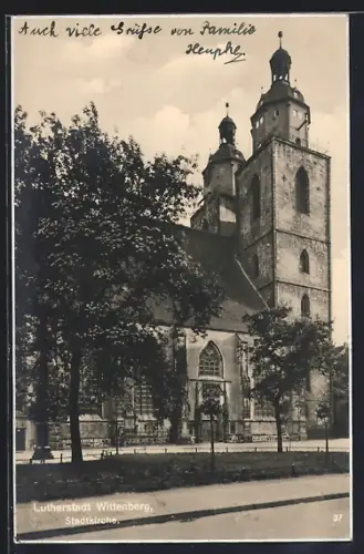 AK Wittenberg / Elbe, Stadtkirche mit Gartenanlage