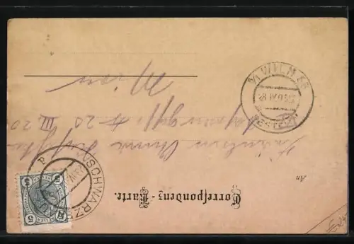 AK Schwarzenau, Handlung v. H. Weissensteiner, Reichsstrasse