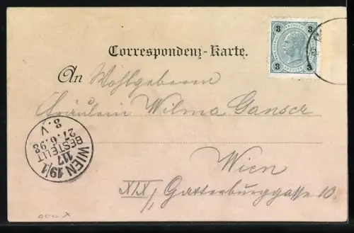 Lithographie Schwarzenau, Bahnhof mit Restauration, Schloss, Totalansicht