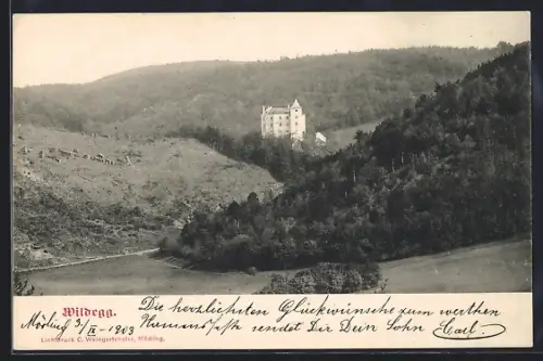 AK Sittendorf /N.-Oe., Ortsansicht mit Schloss Wildegg und Talpanorama