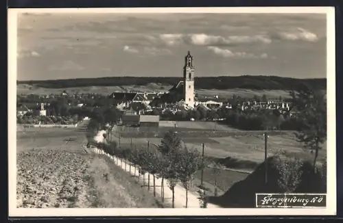 AK Herzogenburg, Ortsansicht mit Landstrasse und Feldern