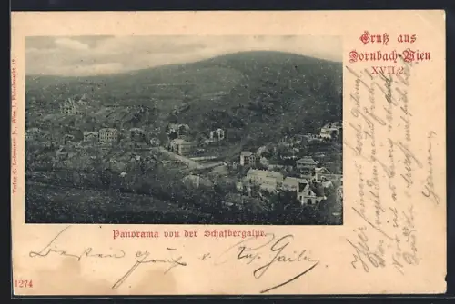 AK Wien, Dornbach, Panorama von der Schafbergalpe