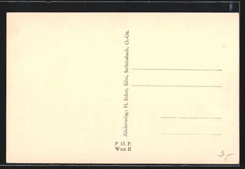 AK Sarleinsbach, Ortsansicht mit Blick in die Ferne