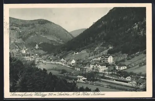AK Waldegg, Panorama mit Hotel Kuchner