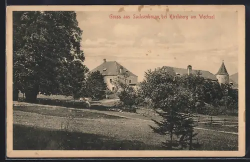 AK Kirchberg am Wechsel, Gruss aus Sachsenbrunn