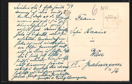 AK Wien, Dreimarkstein, Häuserl am Roan an der neuen Höhenstrasse