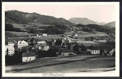AK Mitterbach, Totalansicht mit Landstrasse und Bergpanorama