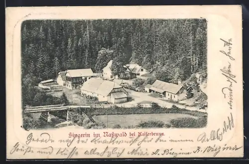 AK Singerin im Nasswald, Ortsansicht mit Brücke aus der Vogelschau