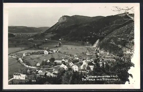 AK Scheiblingkirchen /Pittental, Teilansicht mit Strassenpartie