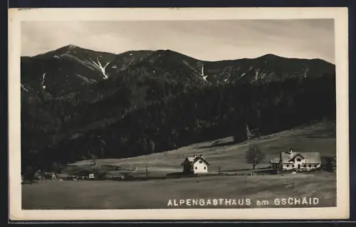 AK Reichenau an der Rax, Alpengasthaus Gschaid