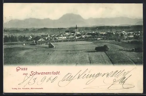 AK Schwanenstadt, Teilansicht mit Bergen