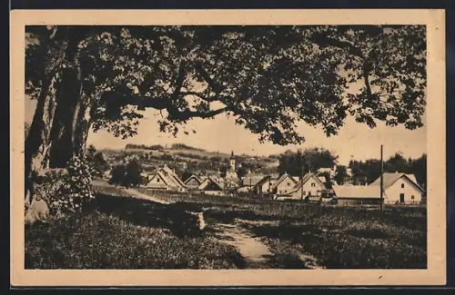 AK Peuerbach, Panoramablick zum Ort