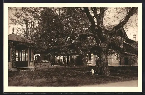 AK Wien, Schlosspark Schönbrunn, Kammermeierei