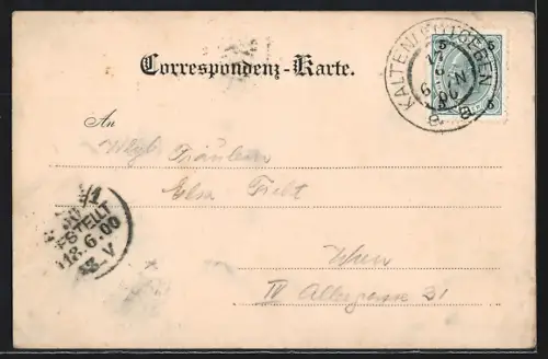 AK Kaltenleutgeben, Gesamtansicht