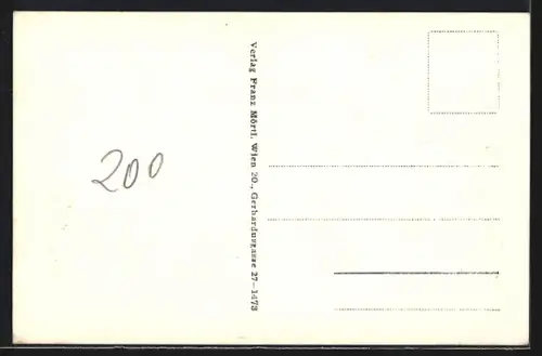 AK Wimpassing im Schwarzatale, Totalansicht, Fliegeraufnahme