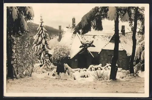 AK Bad Harzburg, Kaffeehaus Winuwuk, Winteransicht, Bes. Hoetyer