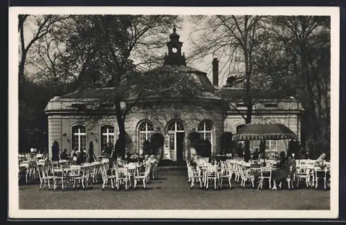 AK Düsseldorf, Hofgarten, Ananasberg