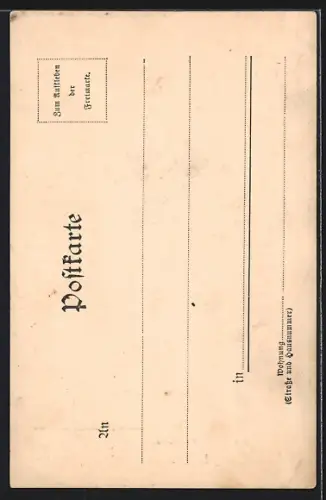 AK Oldenburg i. Gr., Kirche, Kirchhofslinde