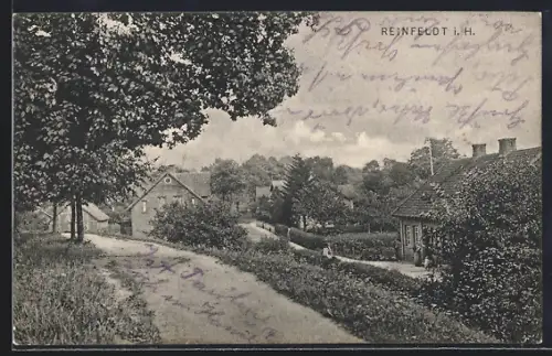 AK Reinfeldt i. H., Dorfstrasse mit Wohnhäusern