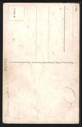 AK Merdingen, Ortsansicht und Rathaus