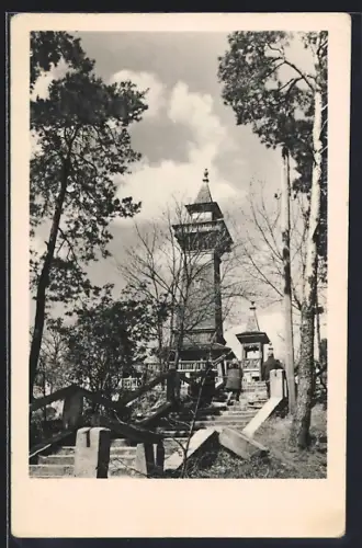 AK Berlin-Köpenick, In den Müggelbergen