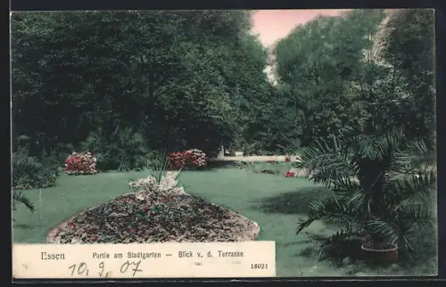 AK Essen, Partie am Stadtgarten, Blick von der Terrasse