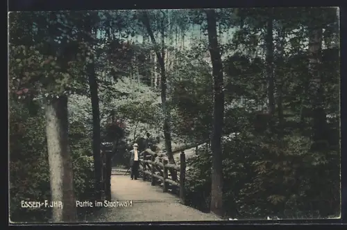 AK Essen / Ruhr, Partie im Stadtwald