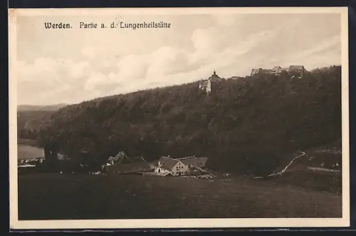 AK Werden a. d., Partie a. d. Lungenheilstätte