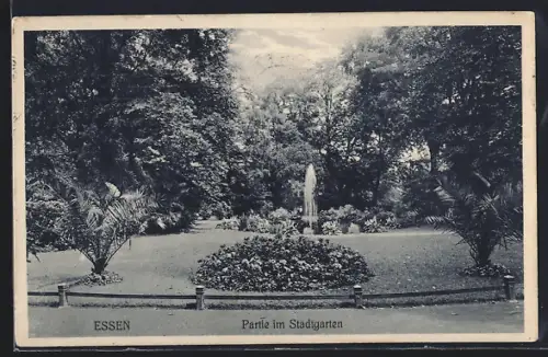 AK Essen, Partie im Stadtgarten