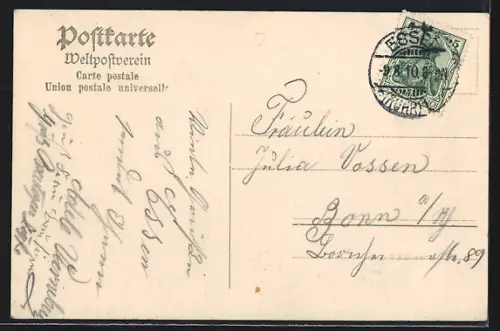 AK Essen a. d. Ruhr, Partie aus dem Stadtgarten