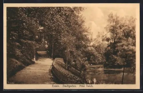 AK Essen, Stadtgarten, Alter Teich