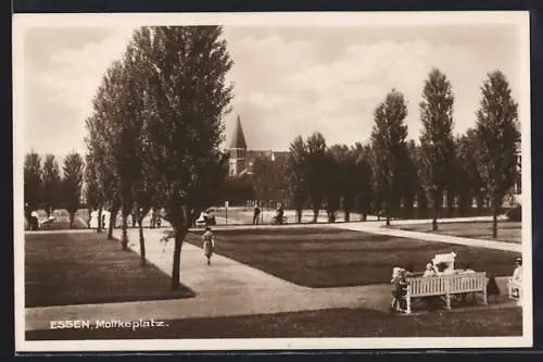 AK Essen, Bäume auf dem Moltkeplatz