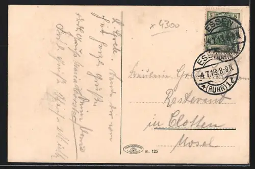 AK Essen-Ruhr, Partie im Stadtgarten