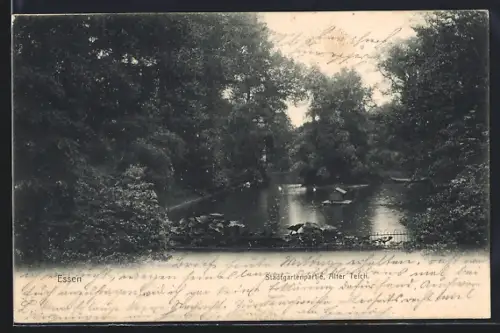 AK Essen / Ruhr, Stadtgartenpartie, Alter Teich